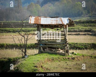 Ein kleiner Unterstand auf einer Reisfarm im Herbst. Schattiges Rasthaus In Einem Asiatischen Reisfeld. Stockfoto