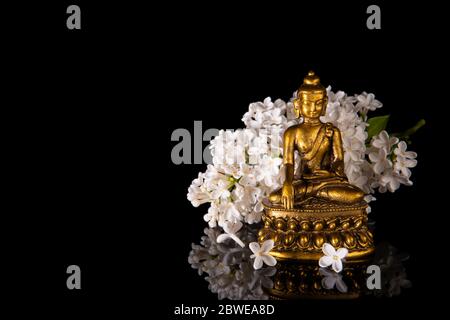 Goldener Buddha, eingerahmt von weißen Fliederblumen auf schwarzem Hintergrund mit Spiegelung Stockfoto