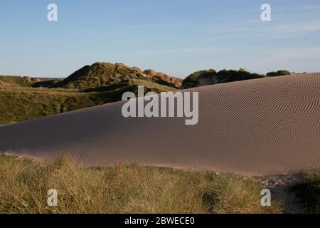 Sanddünen in Pembrokeshire. Stockfoto