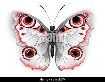 Graues Schmetterling Pfau Auge Stock Vektor