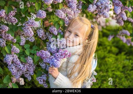 Kleines Mädchen riecht lila Blumen in sonnigen Tag. Stockfoto