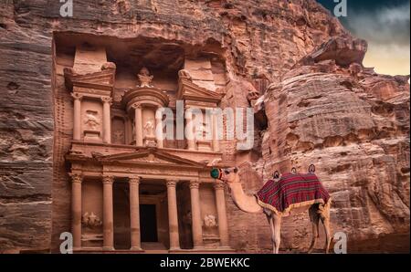 Warten Kamel vor Al Khazneh, die Schatzkammer. Petra, Jordanien. Stockfoto