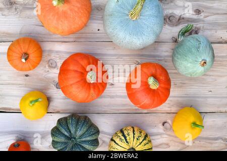 Verschiedene Sorten von Kürbissen und Squashes auf Holz. Herbsthintergrund. Stockfoto