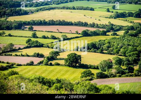 Brighton UK, 31. Mai 2020: Wandern am Chanctonbury Ring in West Sussex bei dem fabelhaften Maiwetter. Stockfoto