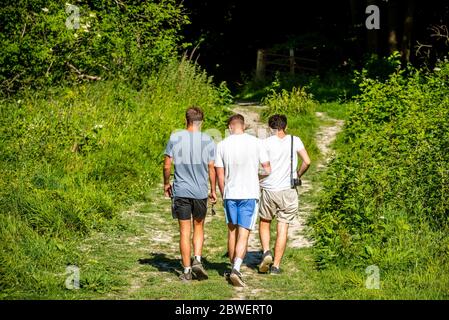 Brighton UK, 31. Mai 2020: Wandern am Chanctonbury Ring in West Sussex bei dem fabelhaften Maiwetter. Stockfoto
