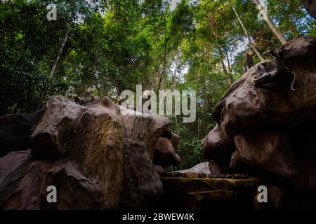 Sommerlandschaft auf der tropischen Insel Phu Quoc in Vietnam. Schönes Panorama des Dschungels Trek zum Suoi Tranh Wasserfall, ein Thoi Bezirk. Stockfoto