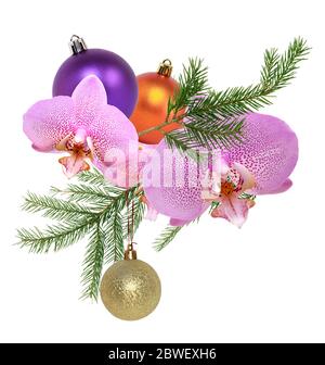 Schöne Weihnachtsdekoration. Rosa Orchideenblume mit Tannenzweig Stockfoto