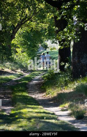 Ein Junge und ein Mädchen von hinten gesehen gehen in einer Landstraße in Umbrien, Italien, im warmen Sonnenlicht Stockfoto