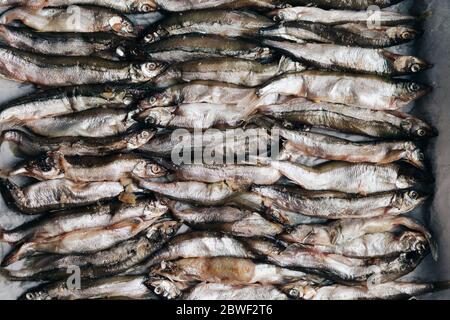 Geschälte Capelin Fisch. Abstrakte Lebensmittel Hintergrund. Frischer Fisch in einer Pfanne Stockfoto