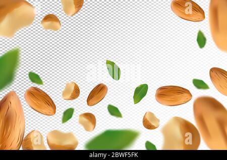 Almond nuts background. Flying almond with green leaf on transparent background. 3D realistic nuts. Almond falling from different angles. Vector illustration Stock Vektor