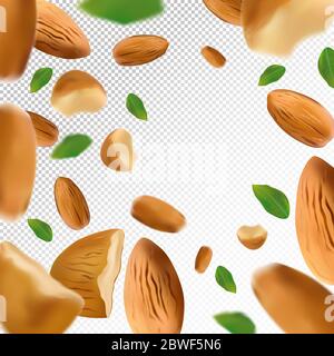 Almond nuts background. Flying almond with green leaf on transparent background. 3D realistic nuts. Almond falling from different angles. Vector illustration Stock Vektor