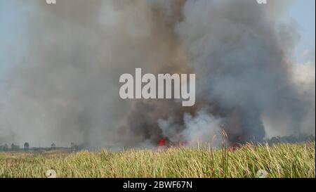 Schwarzer Rauch und Feuerflamme von brennenden Wiesen, die in der Luft aufsteigen, Verschmutzung und Rauchstaub bei der Verbrennung, Thailand Stockfoto