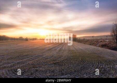 Ein gelb-violetter Sonnenaufgang über einem Feld im Winter Stockfoto