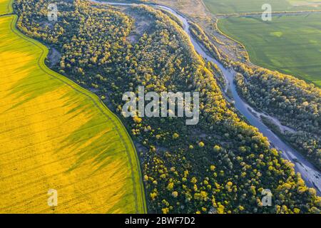 Flug durch majestätischen Fluss, üppig grünen Wald und blühende gelbe Rapsfelder bei Sonnenuntergang. Landschaftsfotografie Stockfoto