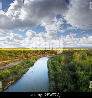 Flug durch den majestätischen Fluss Dnister, üppig grünen Wald und blühende gelbe Rapsfelder bei Sonnenuntergang. Ukraine, Europa. Landschaftsfotografie Stockfoto