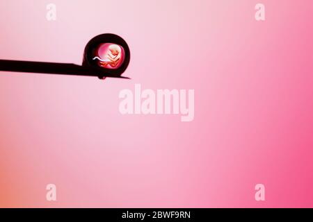 Menschlicher Embryo in einem Tropfen auf der Spitze einer Nadel auf einem rosa Hintergrund Stockfoto