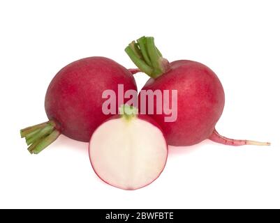 Frische Radieschen isoliert auf weißem Hintergrund Stockfoto