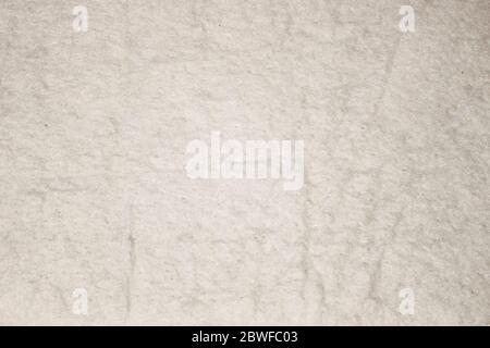 Textur von weißem Schwamm. Für Hintergrund. Nahaufnahme. Weiße Schwamm natürliche Muster Textur abstrakt für Hintergrund. Makro Stockfoto