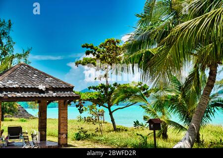 Riesige atemberaubende Kokosnusspalme mit einer Massage Hütte und Liegestühlen unter dem wunderschönen blauen Himmel am Ufer des sandigen wunderschönen exotischen und Stunn Stockfoto