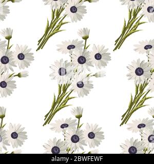 Nahtloses Muster mit weißen Gänseblümchen auf weißem Hintergrund. Vektorgrafik Stock Vektor