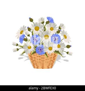 FeldGänseblümchen und Kornblumen in einem Weidenkorb. Vektorgrafik Stock Vektor