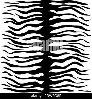 Zebra Haut nahtloses Muster. Exotische Zebra Haut Zeichnung, modisch weißen Hintergrund mit schwarzen Streifen Spule. Stock Vektor