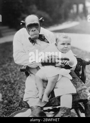 Die Krankenschwester Schimpanse . Snooky , sagte, die meisten Menschen sein - wie Schimpanse in der Welt , Pflege der Baby-Tochter von Herrn und Frau John Rounan , von Los Angeles . 31 Dezember 1923 Stockfoto