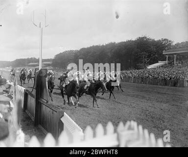 Die Goodwood Rennen . Herr D S Chaverien ' s ' Compiler ' ( Lister up ) gewann den Stewards Cup mit ' Huth Duth ' 2. Und ' Pondoland ' 3. 29. Juli 1924 Stockfoto