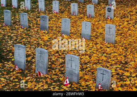 Hamilton Ontario Kanada Soldatenfriedhof mit kleinen Kanadischen Flaggen. Stockfoto