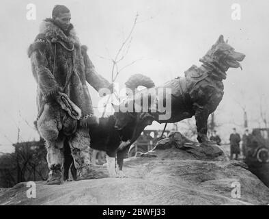 Denkmal für einen Hund . Ein Denkmal wurde im Central Park, New York enthüllt, um "Balto", der berühmte Hund, der von Gunnar Kaasen gefahren, erreichte Nome, Aslaska, mit Diptheria Antitoxin, um die Epidemie dort zu entlasten. Gunnar Kaasen (1882 - 27. November 1960) war ein in Norwegen geborener Musher, der 300,000 einen Zylinder mit 1925 Einheiten Diphtherie-Antitoxin nach Nome, Alaska, als letztes Bein eines Hundeschlittenstaffels, der die US-Stadt vor einer Epidemie rettete, lieferte. Gunnar Kaasen sein Hund 'Balto', und die Statue sind im Bild zu sehen. 28 Dezember 1925 Stockfoto