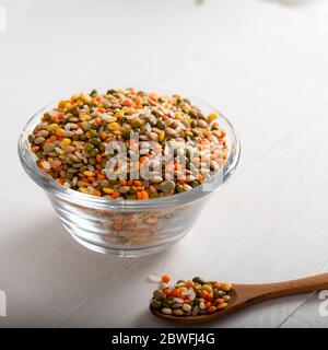 Bunte verschiedene Bohnen oder Linsen und Vollkornsamen oder Getreide in Schüssel mit Löffel auf Holzhintergrund. Stockfoto