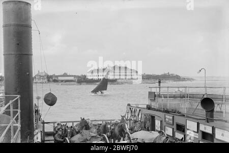 Bei Sandbanks, Dorset. Die Zufahrtsstraße und die schwimmende Brücke (Fähre), die Poole Harbour überquert, um die Studland und Swanage Seite. Juli 1935 Stockfoto