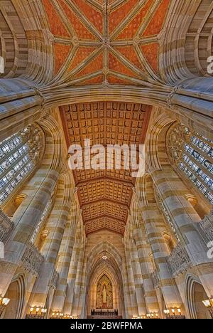 Sterling Library Yale University CT - Innenansicht der Stiftsbibliothek im gotischen Architekturstil an der Yale University. Stockfoto
