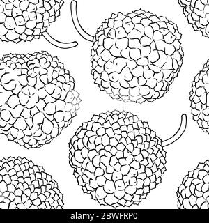 calodendrum Vektormuster auf weißem Hintergrund Stock Vektor