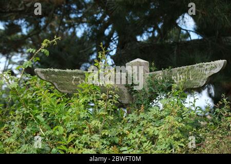 Hobbiton, Mittelerde, Neuseeland Stockfoto