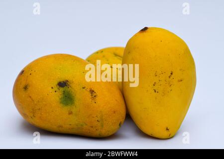 Frische Badam / Badami Mangoe Sorte aus Indien, Andhrrapradesch karnataka Süd Staaten. Aromatischer Geschmack lecker Bio. südindien tropisch exotisch Stockfoto