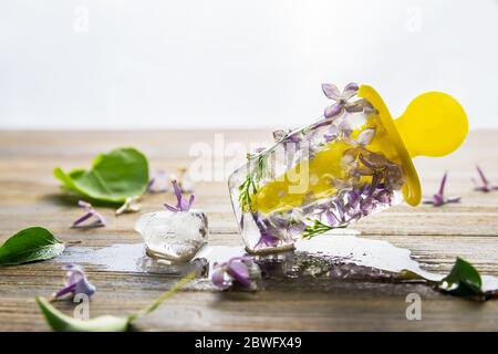 Frühlingseis mit lila Blüten Stockfoto