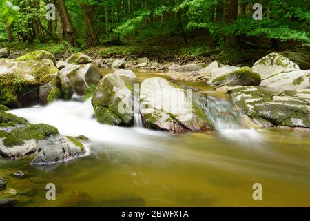 Schneller Fluss, der durch die Steine in einem erstaunlichen grünen mediterranen Bergwald mit gebrochenen Bäumen lange Exposition läuft Stockfoto