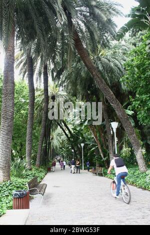 El Parque, Málaga, Andalusien, Spanien. Stockfoto