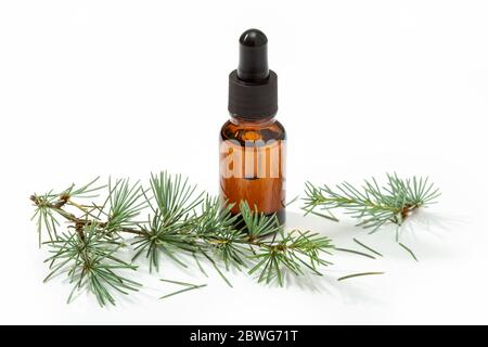 Ätherisches Öl aus Tanne. Tanne Öl für Hautpflege, Spa, Wellness, Massage, Aromatherapie und Naturmedizin Stockfoto