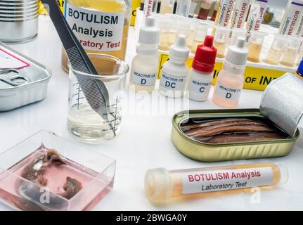 Proben mit Clostridium Botulinum Toxin kontaminiert, die Botulismus beim Menschen verursacht, Laborforschung, konzeptionelles Bild Stockfoto