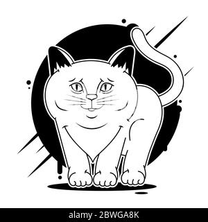 Katze Gesicht Design Vektor auf weißem Hintergrund, Haustier. Tiere. Stock Vektor
