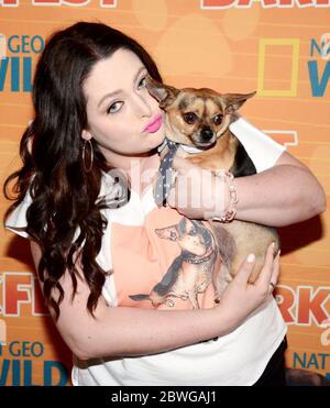 9. April 2016: Lauren Ash nimmt am 9. April 2016 am 2. Jährlichen Barkfest Nat Geo WILD im Palihouse Hotel in West Hollywood, Kalifornien, Teil. (Bild: © Billy Bennight/ZUMA Wire) Stockfoto