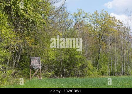 Jagdturm in einer Waldlichtung in der Blattsaison Stockfoto