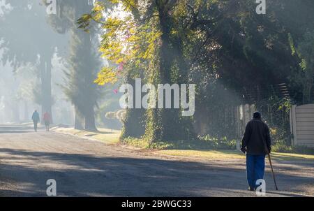 Alberton, Südafrika - ein unidentifizierter behinderter alter Mann und zwei fitt unidentifizierte Wanderer isoliert auf der gleichen Straße in der frühen Morgensonne Stockfoto