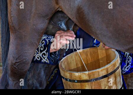 Frauenhände melken das Pferd in einen hölzernen Eimer, Bischkek, Kirgisistan Stockfoto