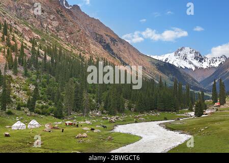 Blick über die Barskaun-Schlucht mit Nomadenzelten und Pferden, Kirgisistan Stockfoto