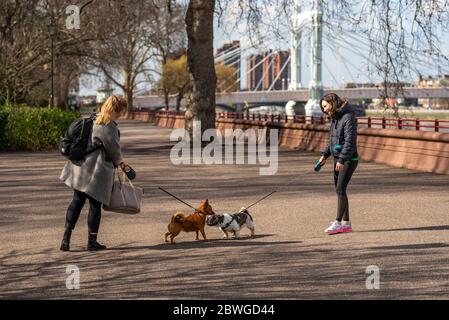 Hunde an der Leine schnüffeln sich gegenseitig, während die Hundebesitzer im Battersea Park lächeln, wo der thames Path im Royal Borough of Kensington auf das Grün trifft Stockfoto