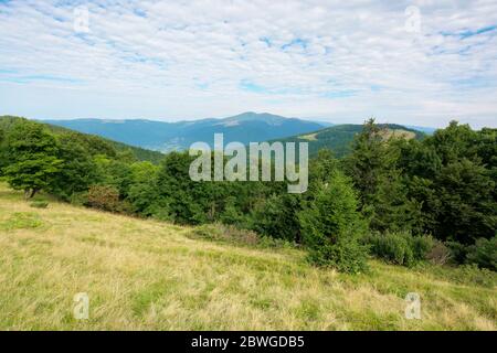 Grüne Naturlandschaft in den Bergen. Schöne Landschaft mit Buchenwald auf dem Hügel. Hohe Spitze in der Ferne. Schönheit der karpaten-Grate. bewölkt w Stockfoto