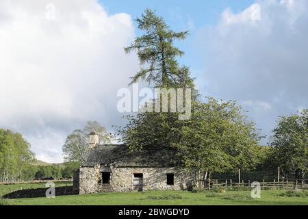 Das "Alte Haus", das von Generationen von Haltern und Landarbeitern genutzt wurde, die auf der Invervack Farm arbeiteten. Jetzt verderbt . Blair Atholl, Perthshire, Schottland, Großbritannien Stockfoto